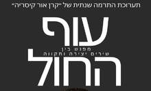 עוף החול