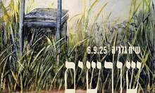 שיח גלריה - שורשים