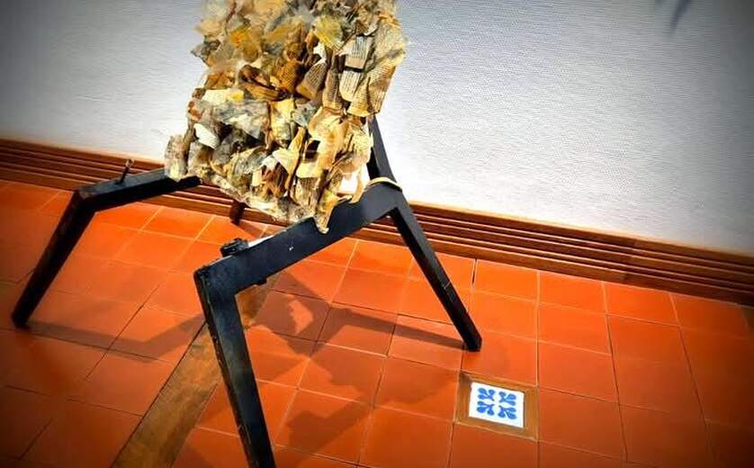 שורשים