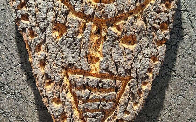 תערוכה - עבר הווה חיים